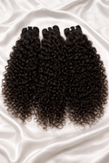Burmese Curly