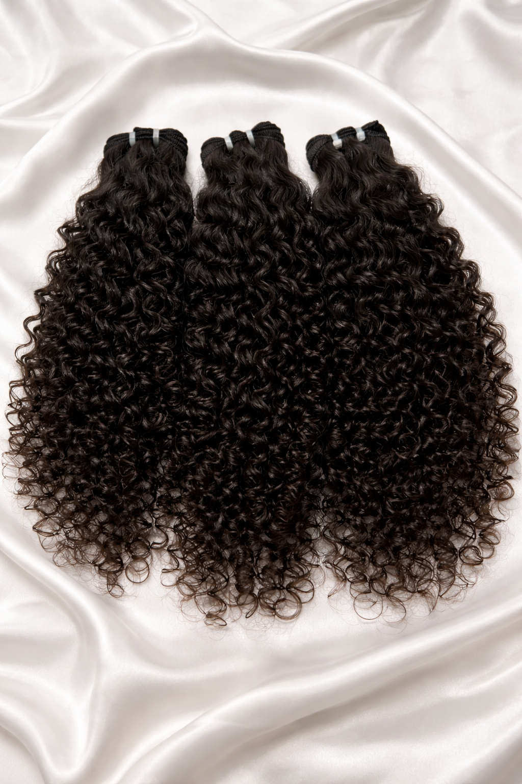 Burmese Curly